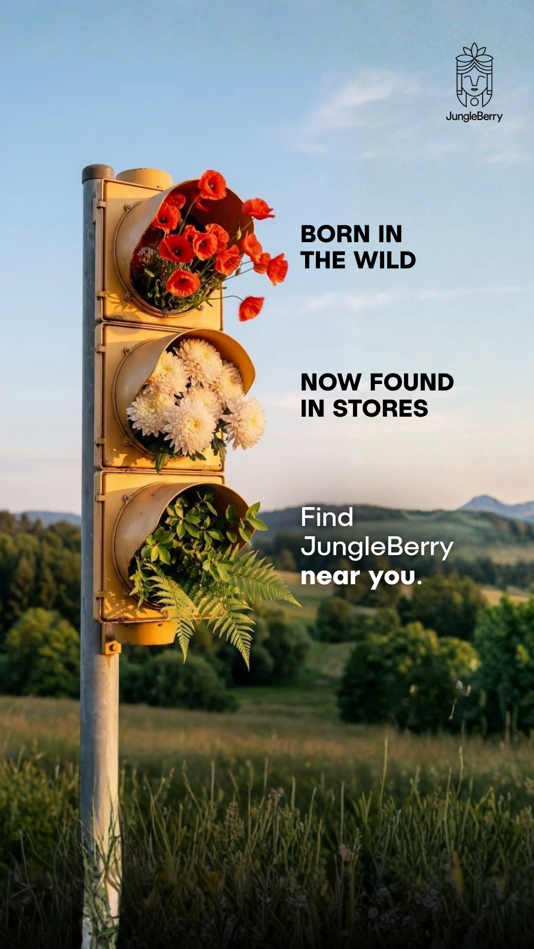 JungleBerry Facebook ad from Jul 15, 2026