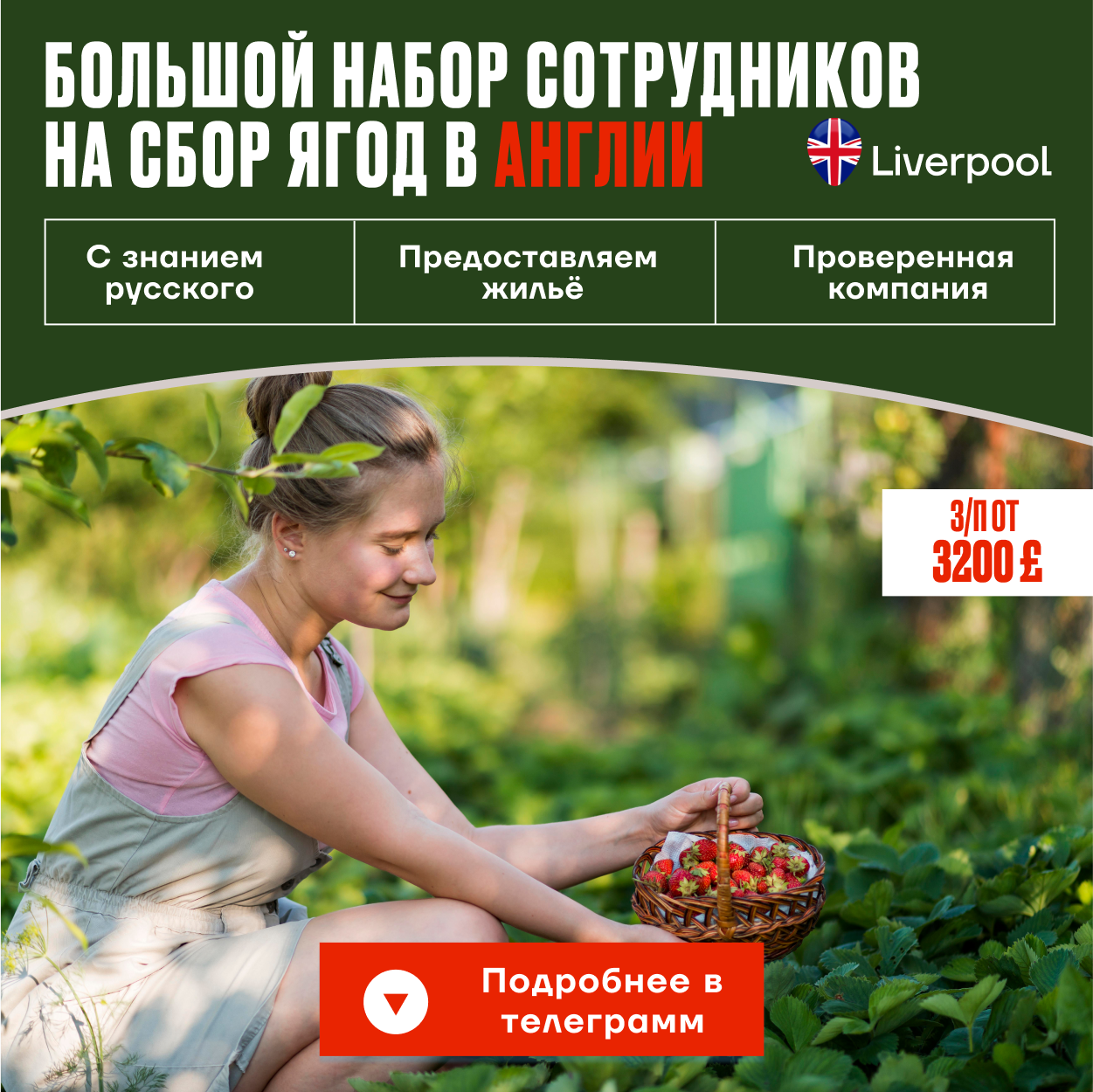 Concept Group Facebook ad: Оставляй заявку по кнопке ниже!
