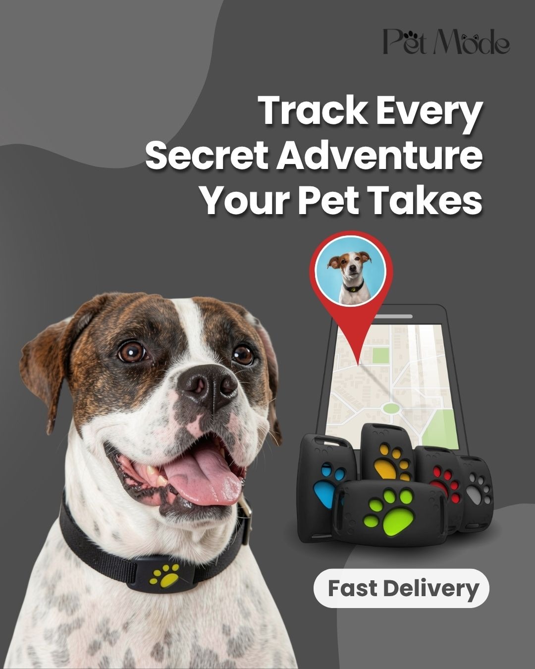 Pet Mode Facebook ad