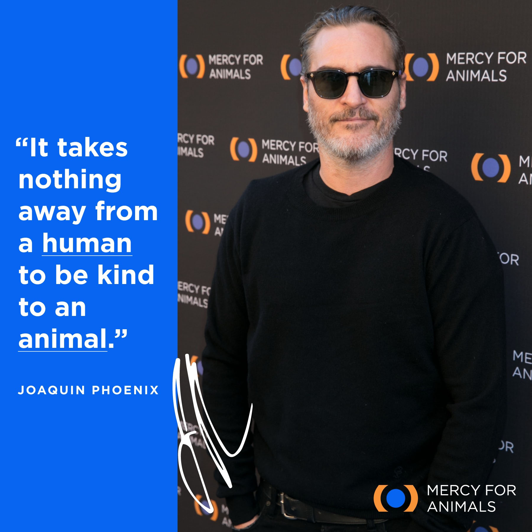 Animal Matters Facebook ad