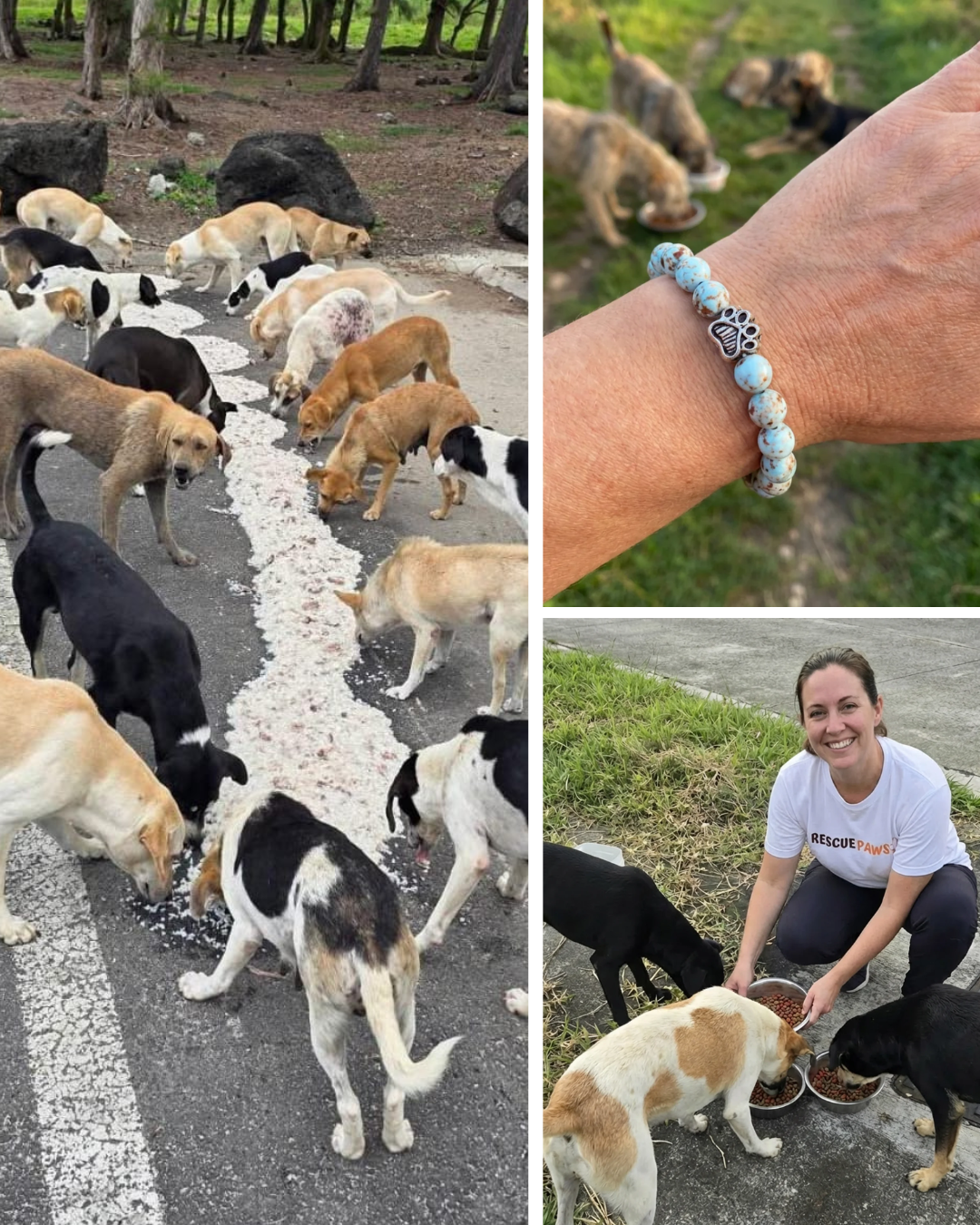 Rescue Paws Facebook ad