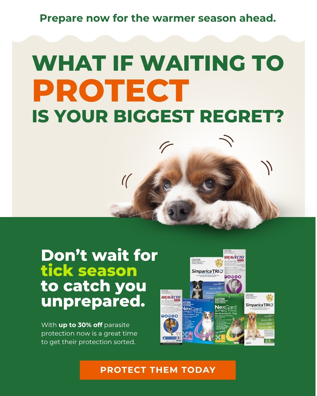 Budget Pet Products Facebook ad