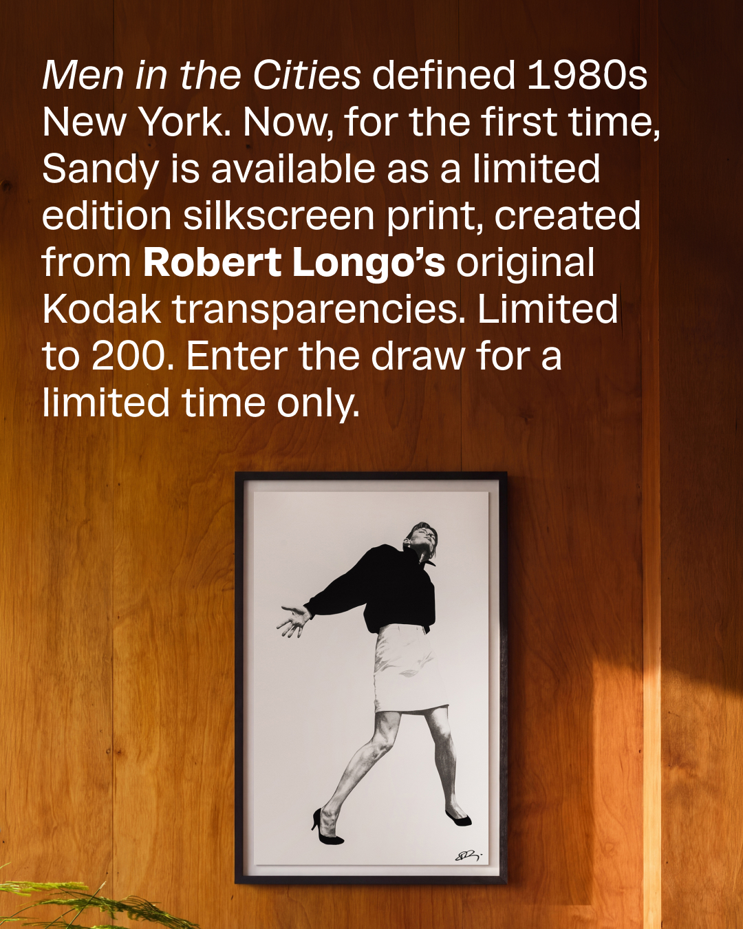 robert_longo_studio Facebook ad
