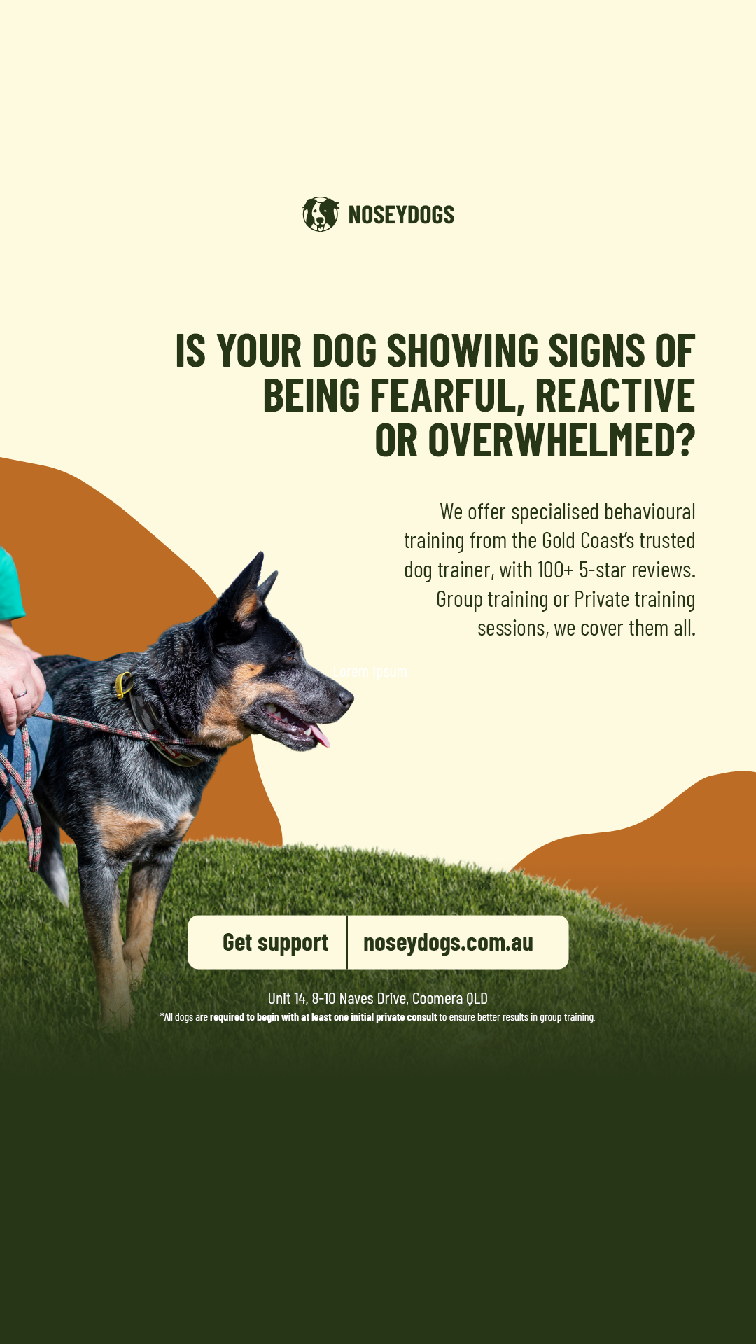NoseyDogs  Facebook ad