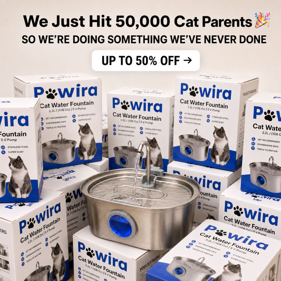 Pawira Facebook ad