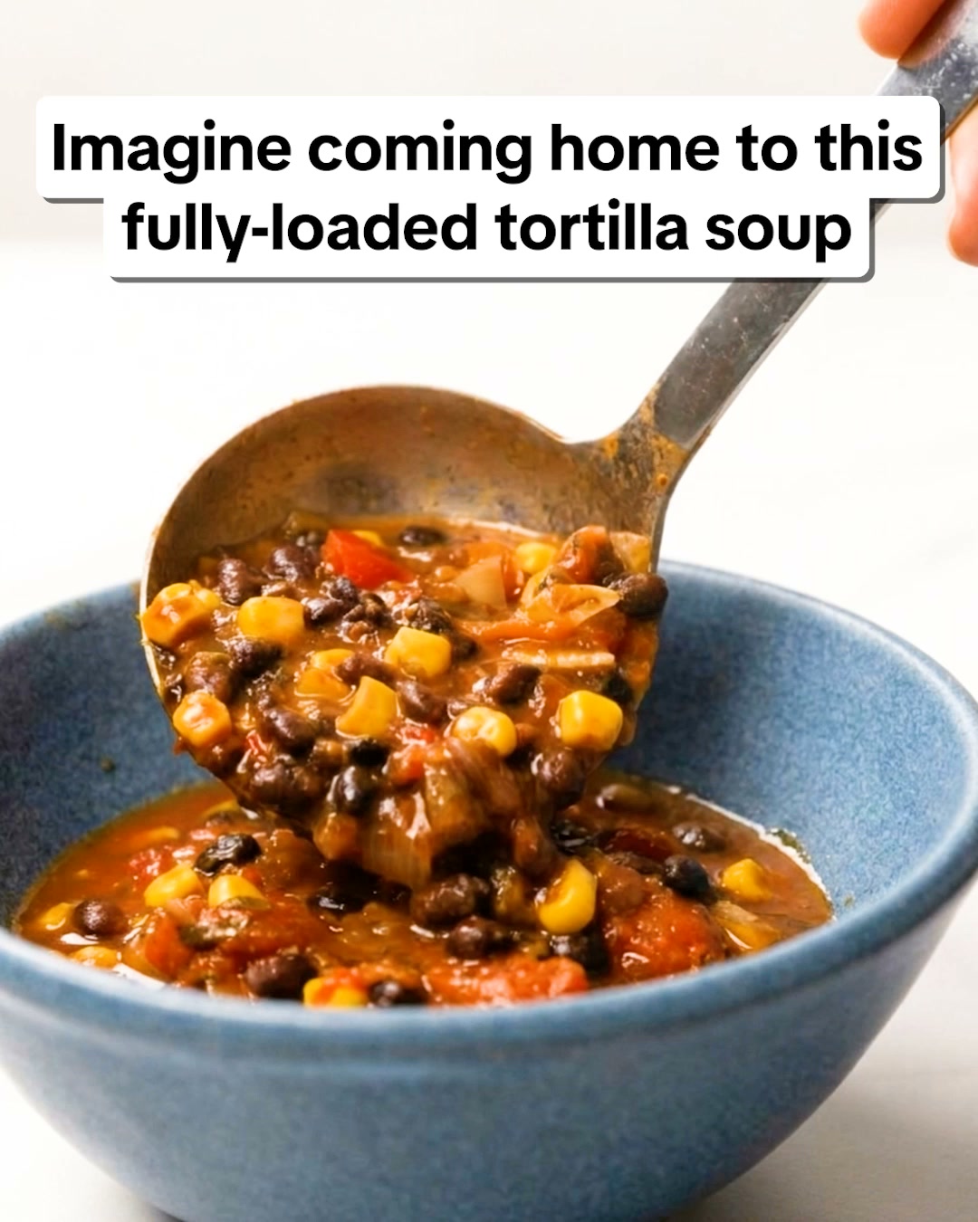 Noochy Licious Facebook ad: Claim Your FREE Slow Cooker Book Today!