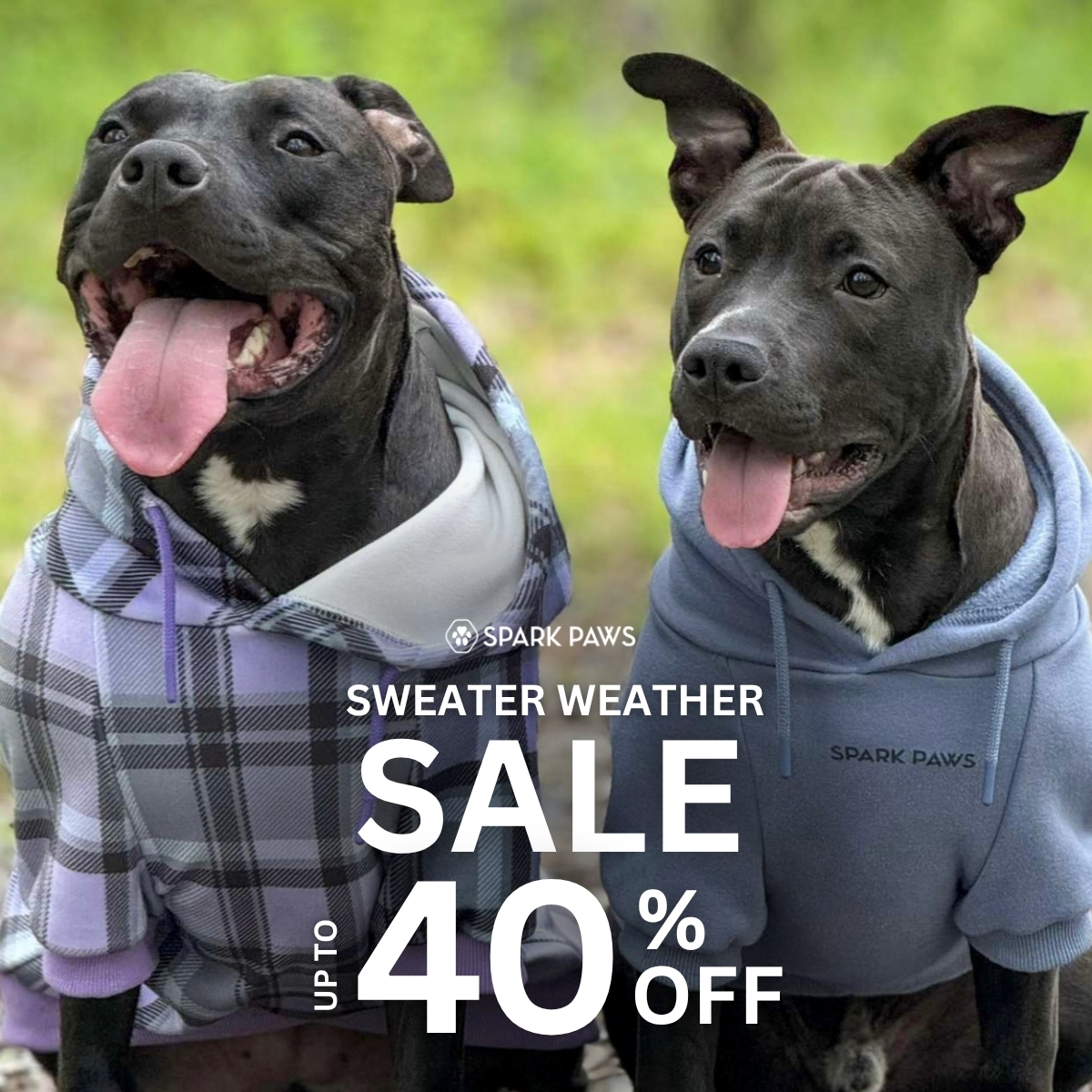 Spark Paws Facebook ad