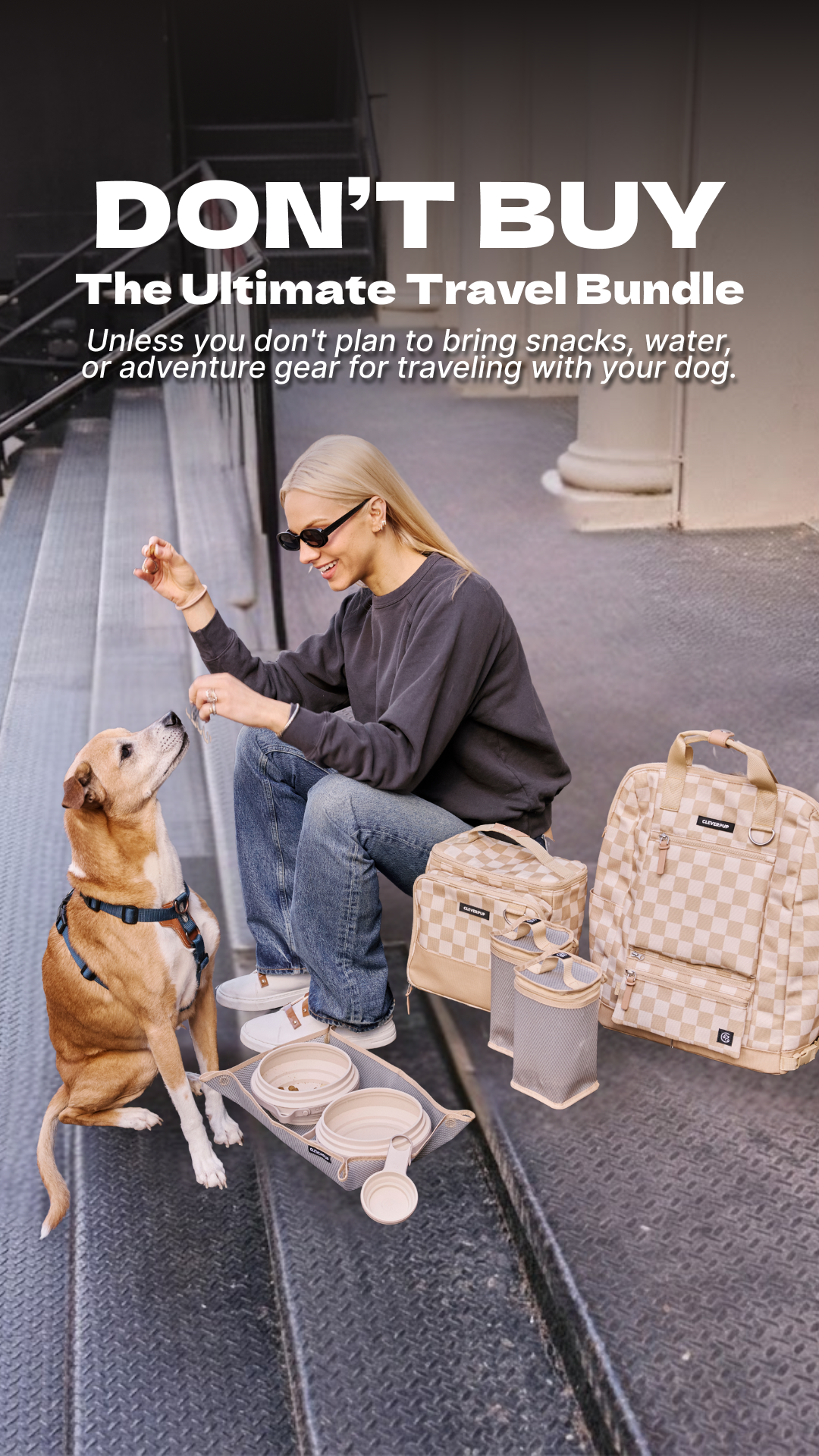 Cleverpup Facebook ad