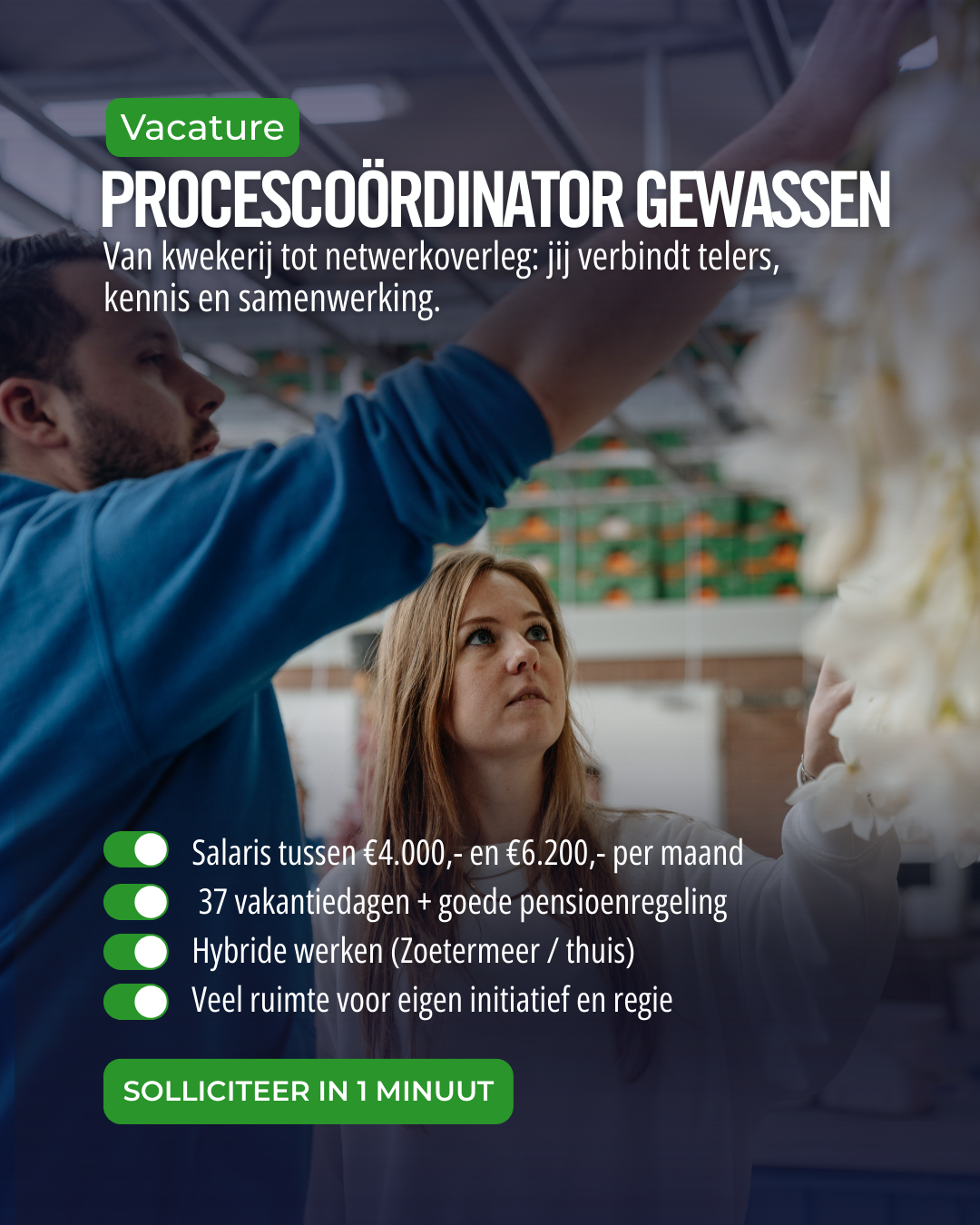 Glastuinbouw Nederland Facebook ad: Solliciteer binnen 1 minuut