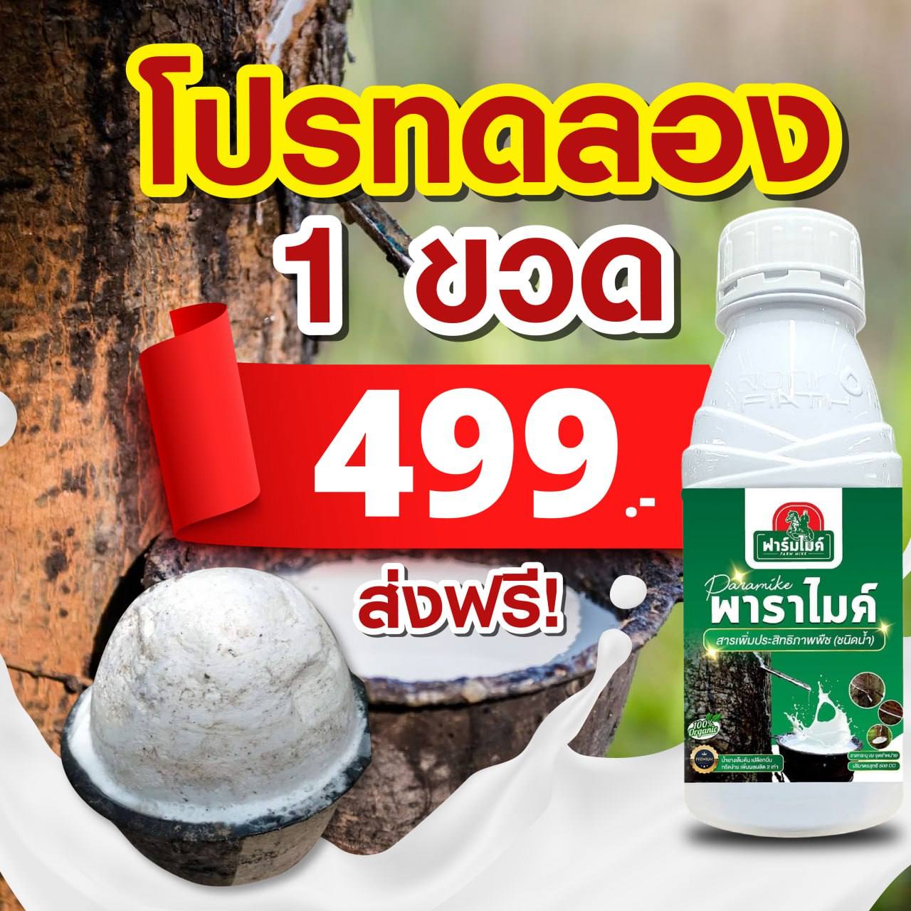 พาราไมค์ ปุ๋ยทาหน้ายางโดยไมค์ ภิรมย์พร โทร082-747-7151 Facebook ad: พี่ไมค์เลือกให้แล้ว! ชาวสวนเตรียมเฮ