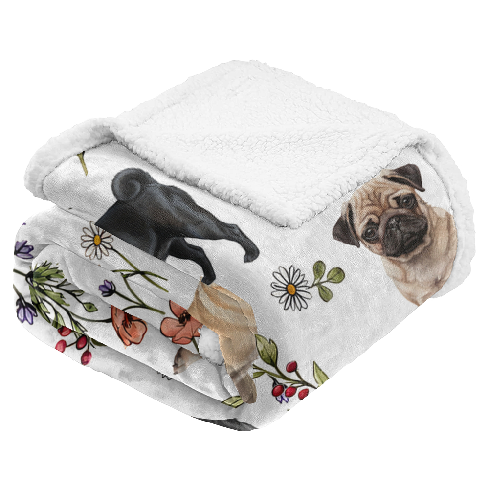 PETS Collection Facebook ad