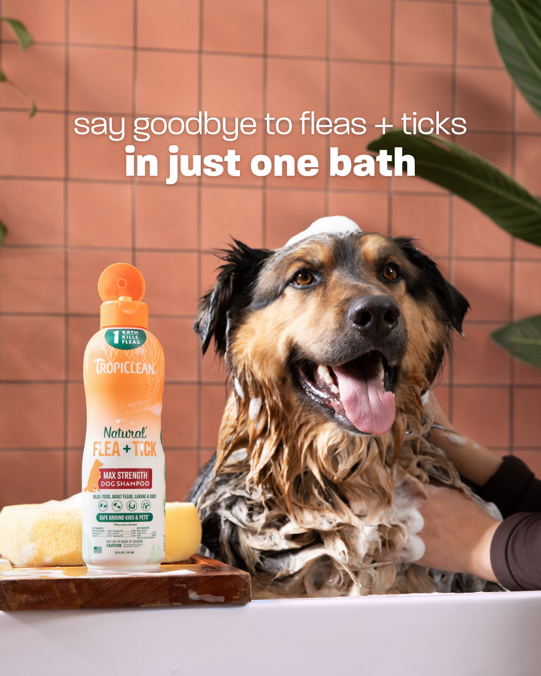 TropiClean Pet Products Facebook ad: Ditch fleas and ticks on your dog's coat…