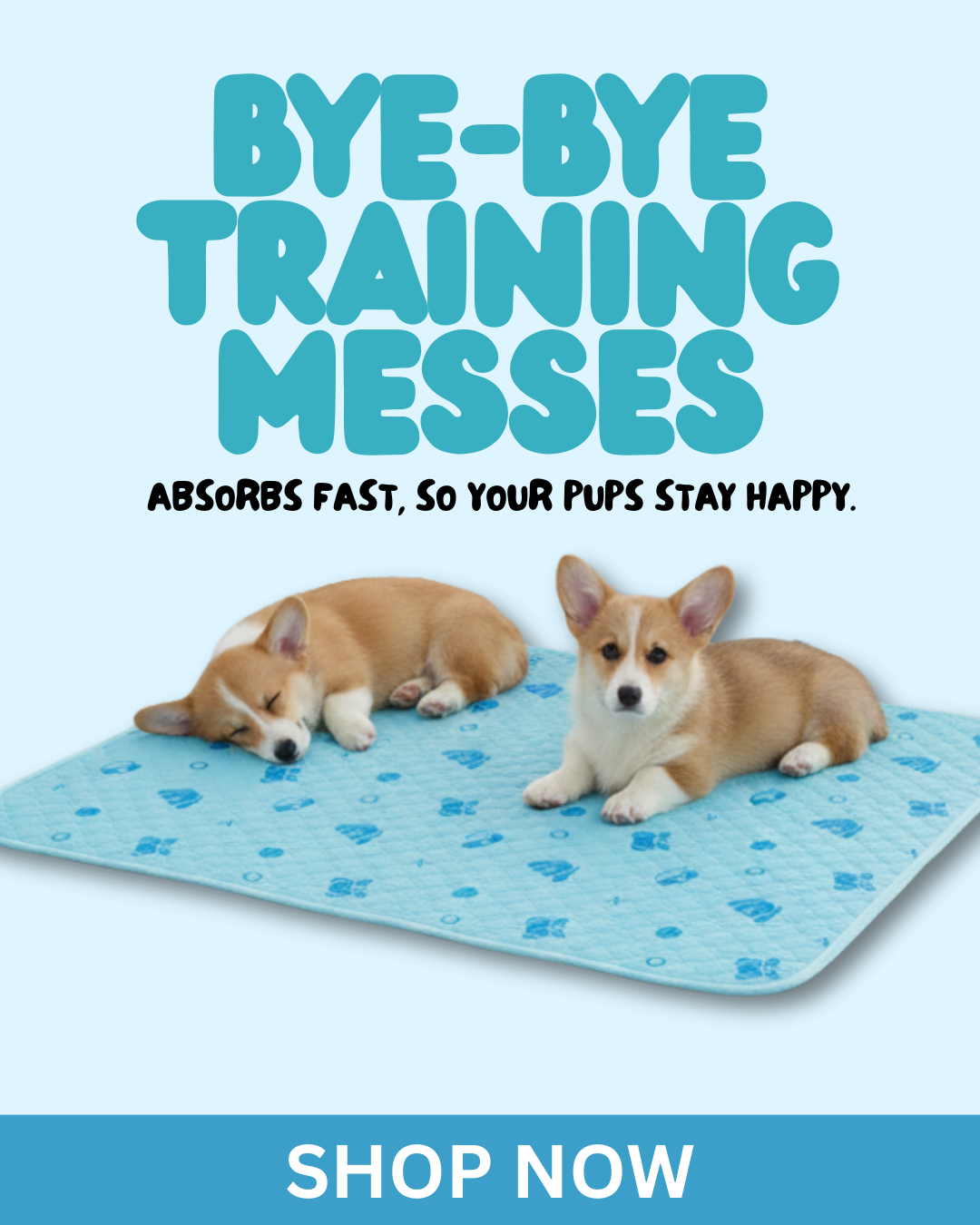 Potty Buddy Facebook ad