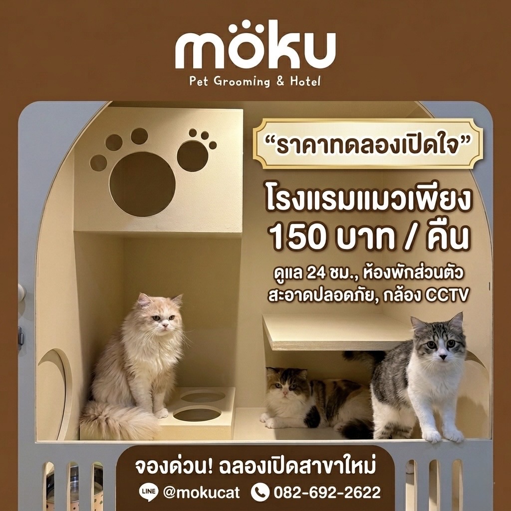 MOKU Pet Grooming & Hotel - โมกุ อาบน้ำ-ตัดขน รับฝากสัตว์เลี้ยง ขอนแก่น Facebook ad: ราคาเปิดใจเพียง 150 บาท / คืน