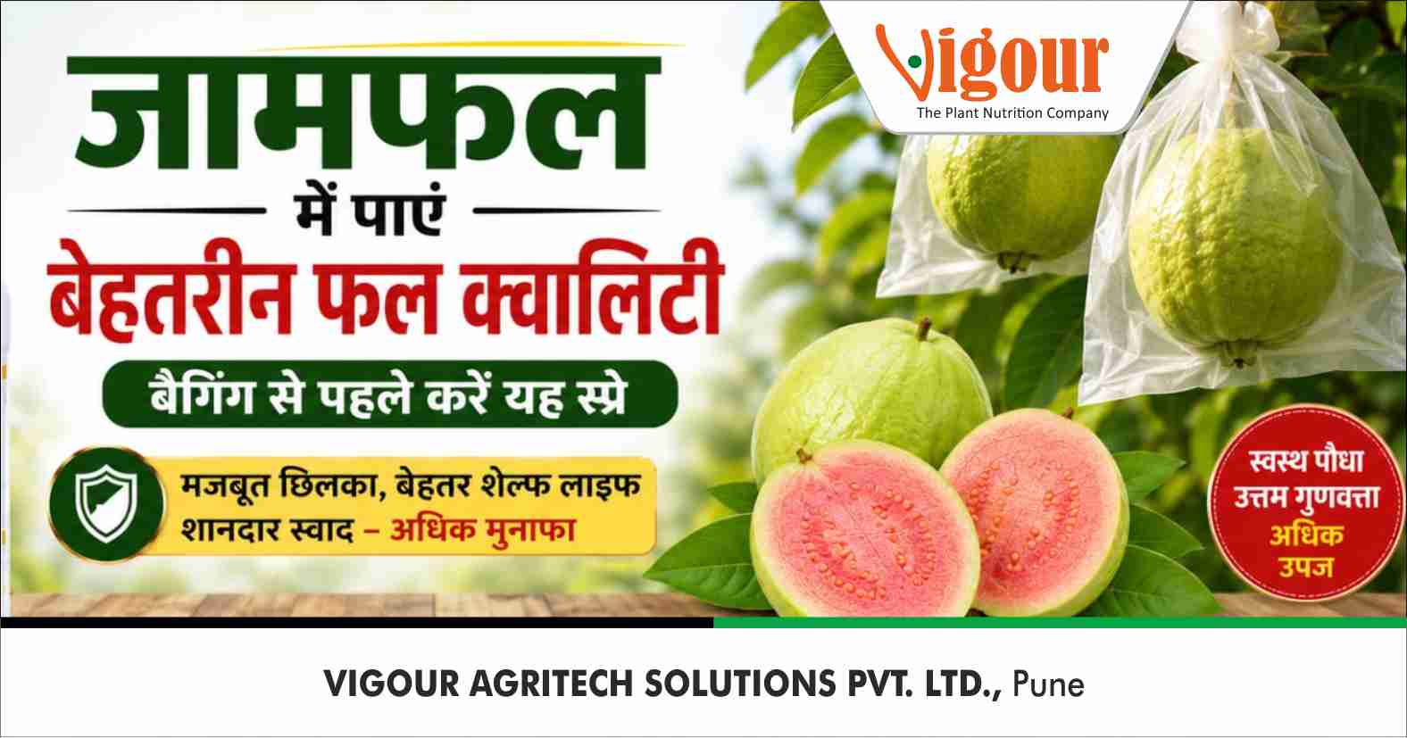 Vigour Agritech Solutions Pvt. Ltd. Facebook ad: जामफल: फल वृध्दी अवस्था - Vigour Agritech