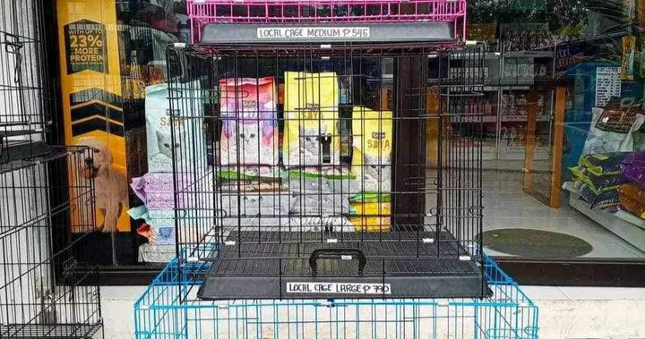 Agripet Station Facebook ad