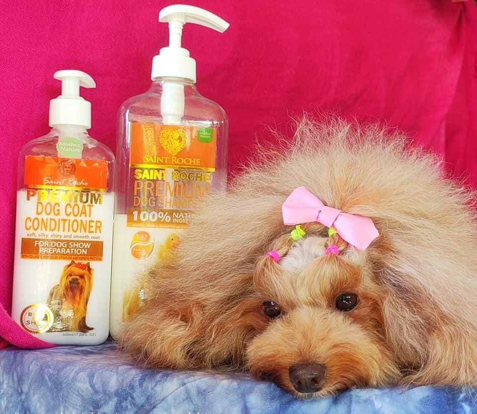 Saint Roche Premium Dog Shampoo Facebook ad
