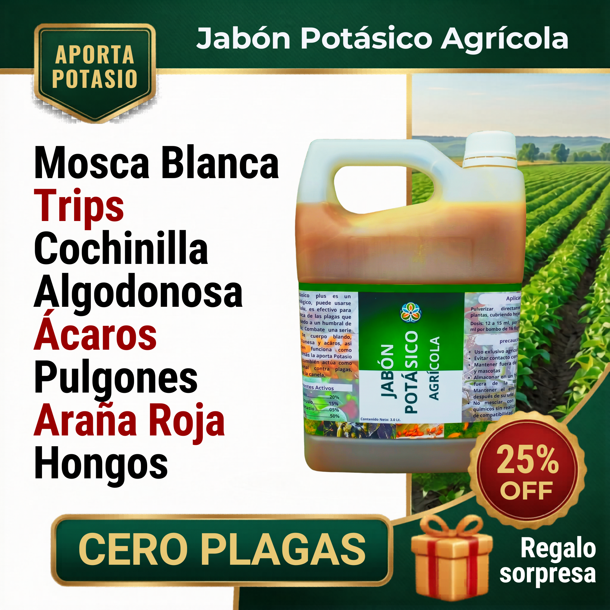 Eco Flor Facebook ad: Regalo Sorpresa 25% Descuento