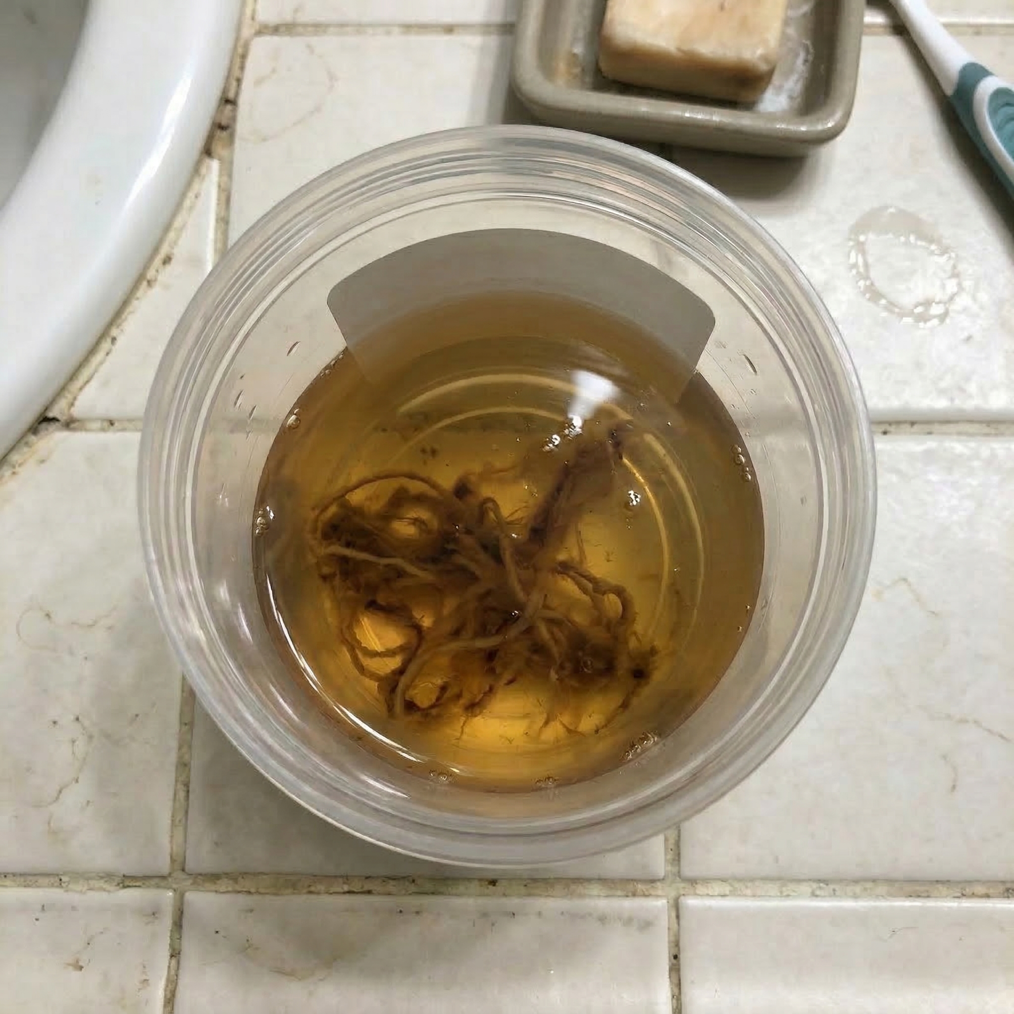 Bruce Martin Facebook ad: I spent $4,300 on IBS. Here’s what actually fixed it.