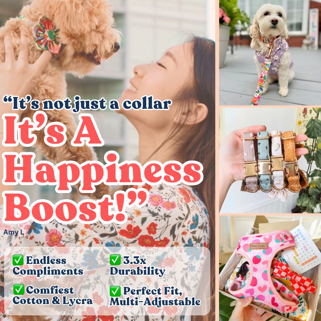 Sniff & Bark Facebook ad
