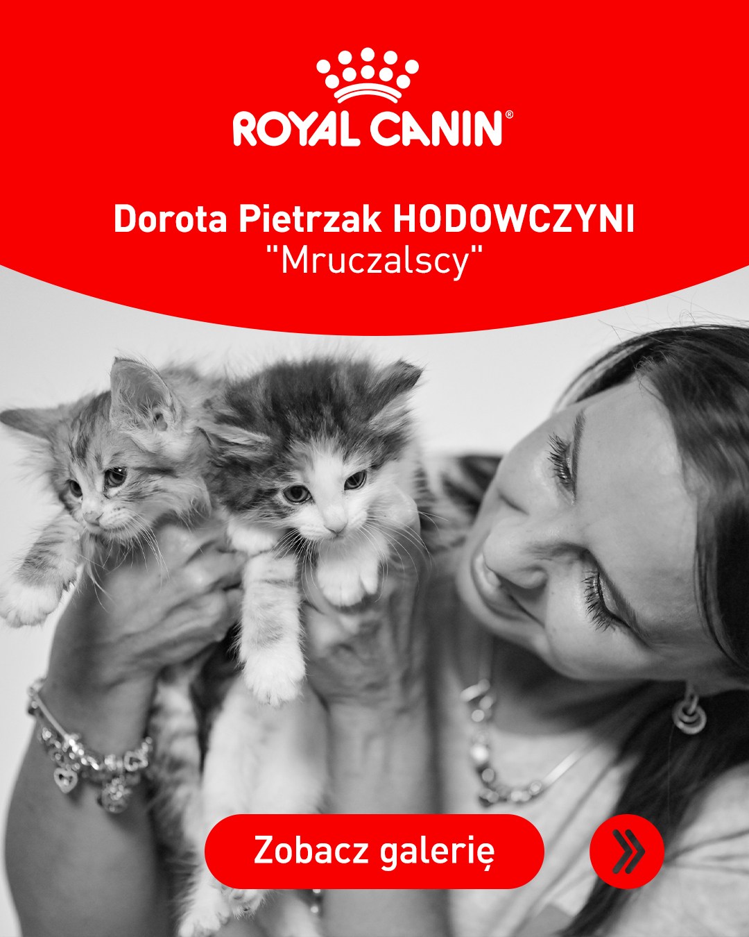 Royal Canin Facebook ad: Pierwsze miesiące życia kociąt to początek drogi, która…