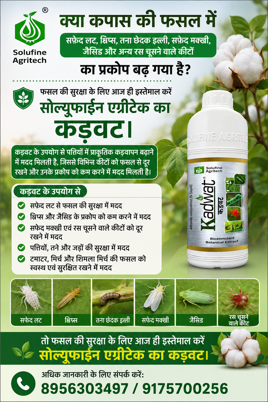Solufine Agritech India Facebook ad: कपास में कीटों से सुरक्षा के लिए कड़वट