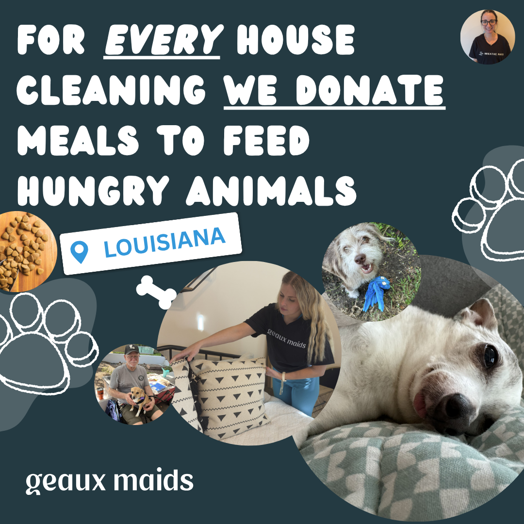 Geaux Maids Facebook ad