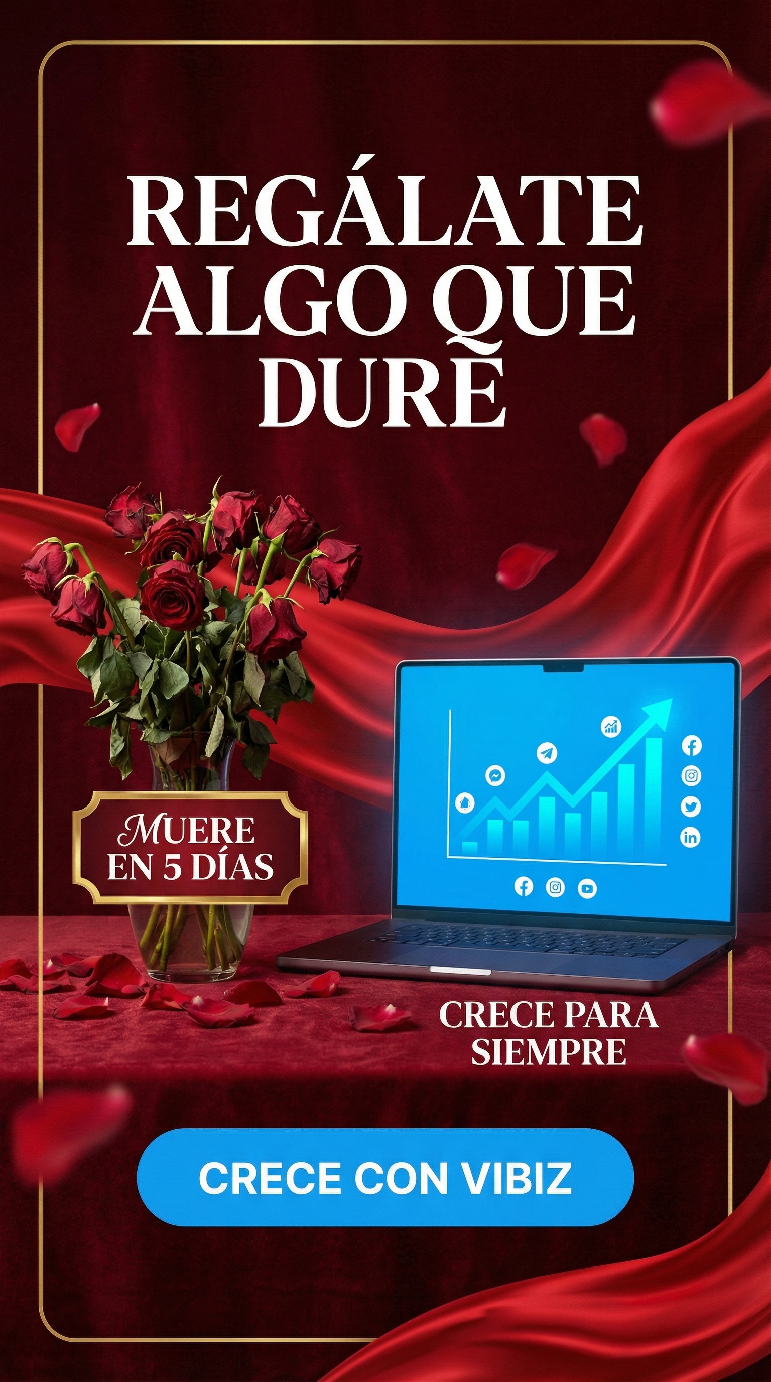 Vibiz Facebook ad