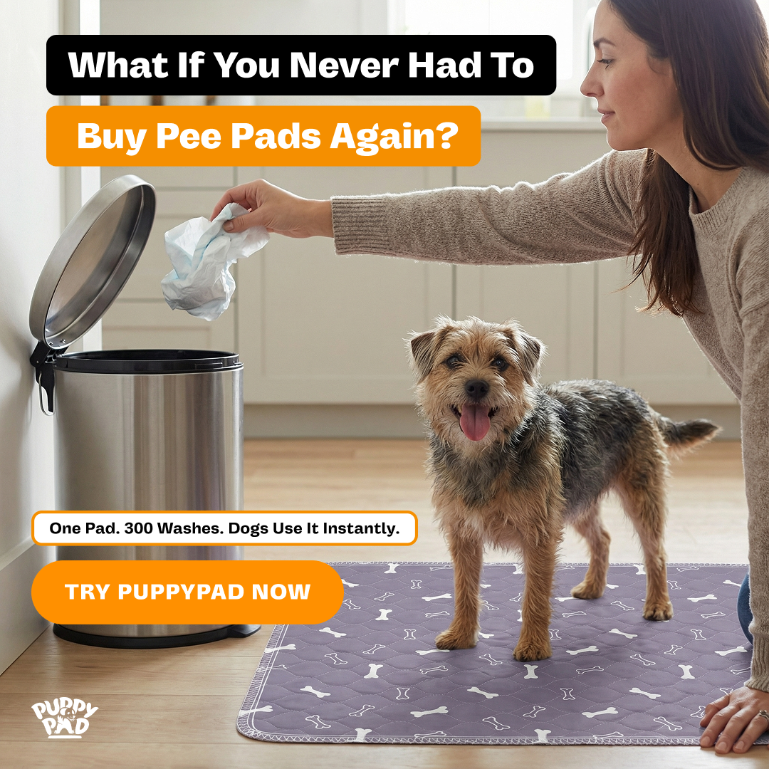 PuppyPad Facebook ad