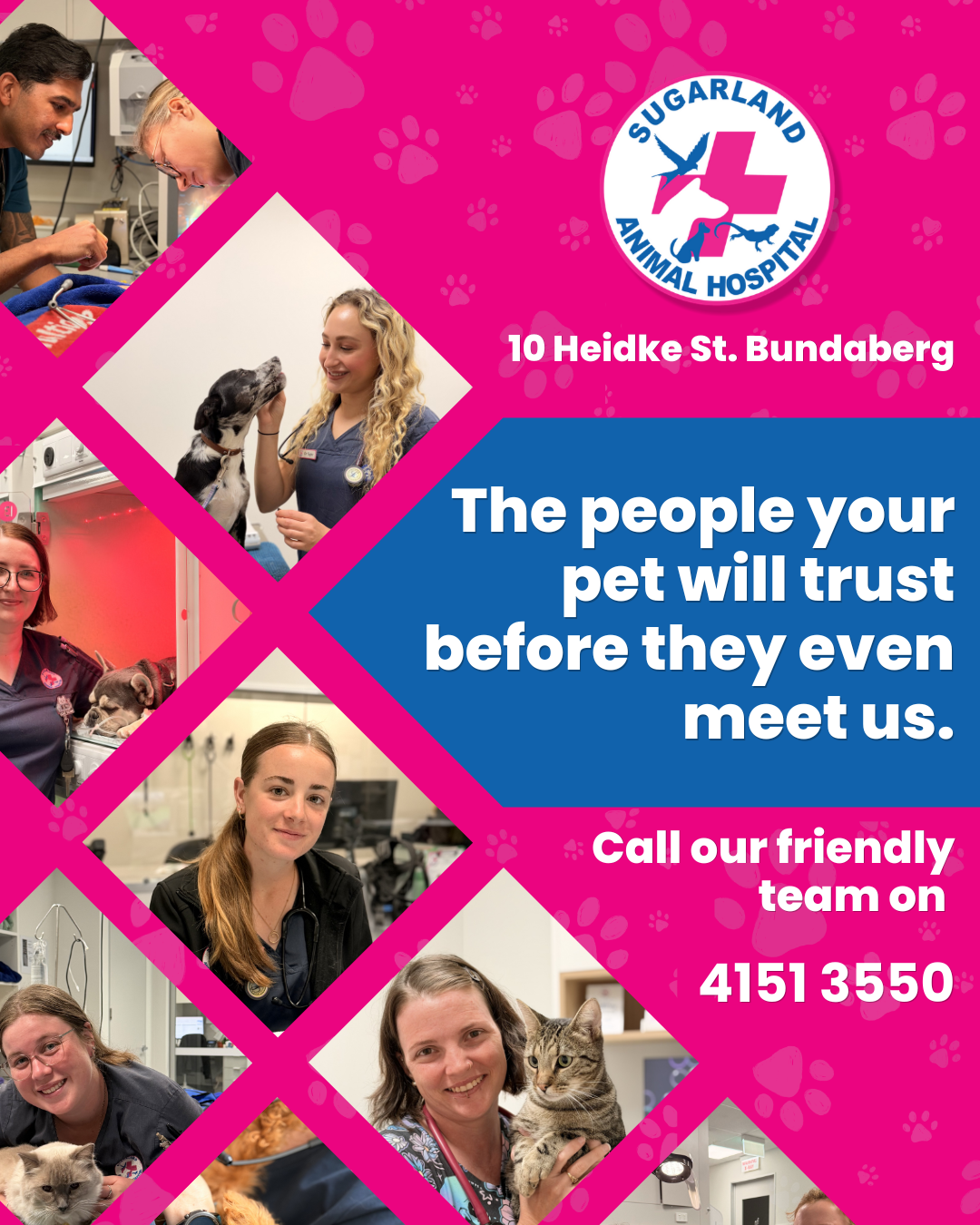 Sugarland Animal Hospital Facebook ad: Your pet isn't just an animal.