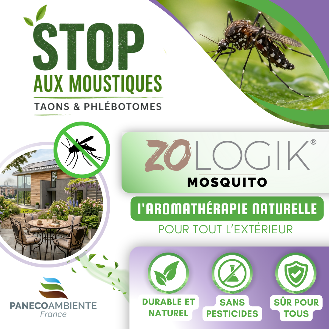 Paneco Ambiente Facebook ad from Jul 10, 2026