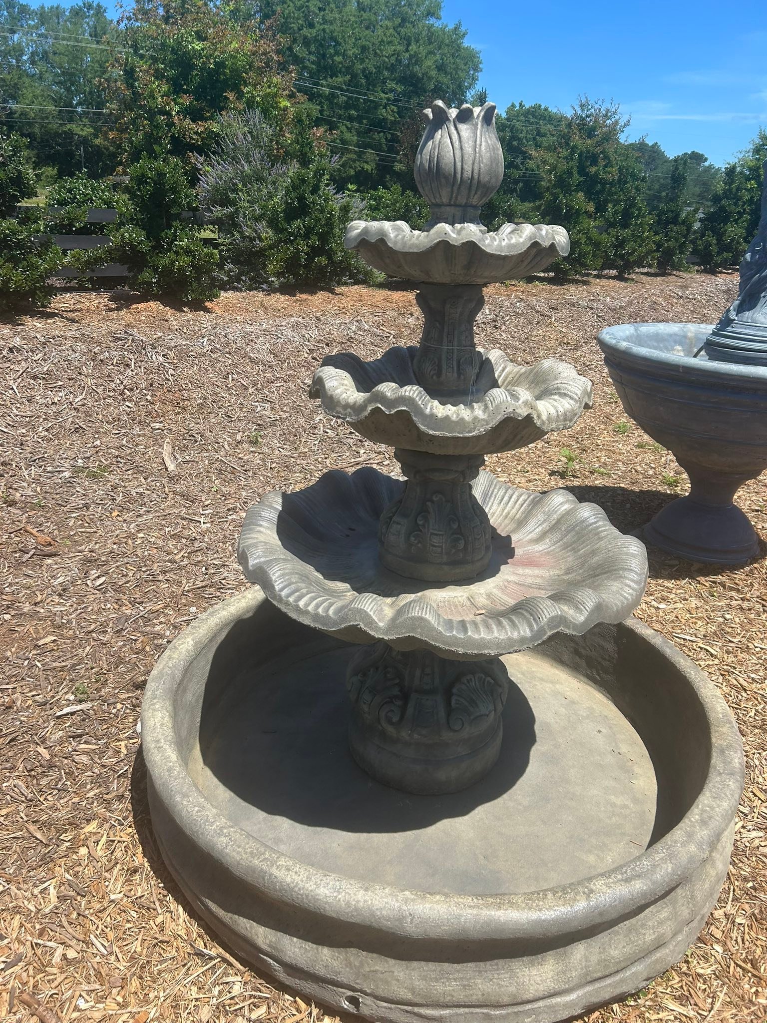 Braemor Gardens- Cumming Georgia Garden Center & Yard Decor Facebook ad: What’s hot right now?