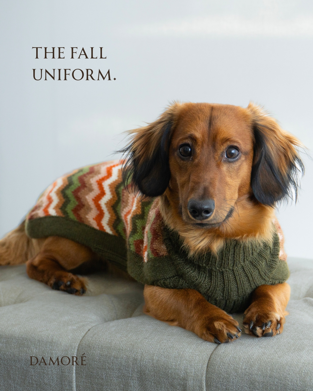 Damoré Fine Pet Goods Facebook ad: Wrap your pup in rich knit sweaters