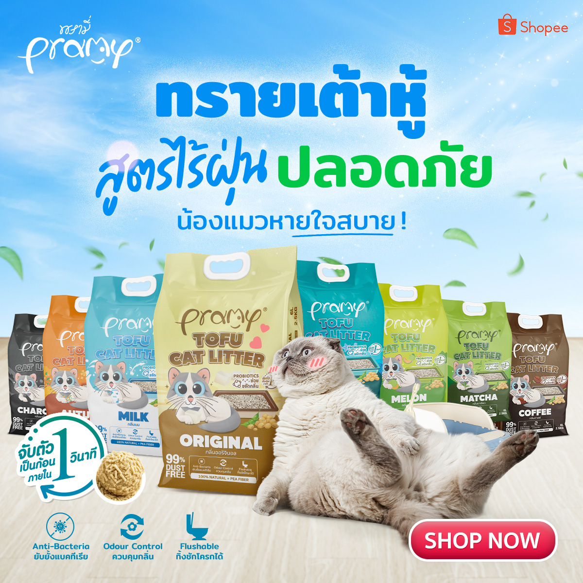 PRAMY อาหารแมวพรามี่ Facebook ad