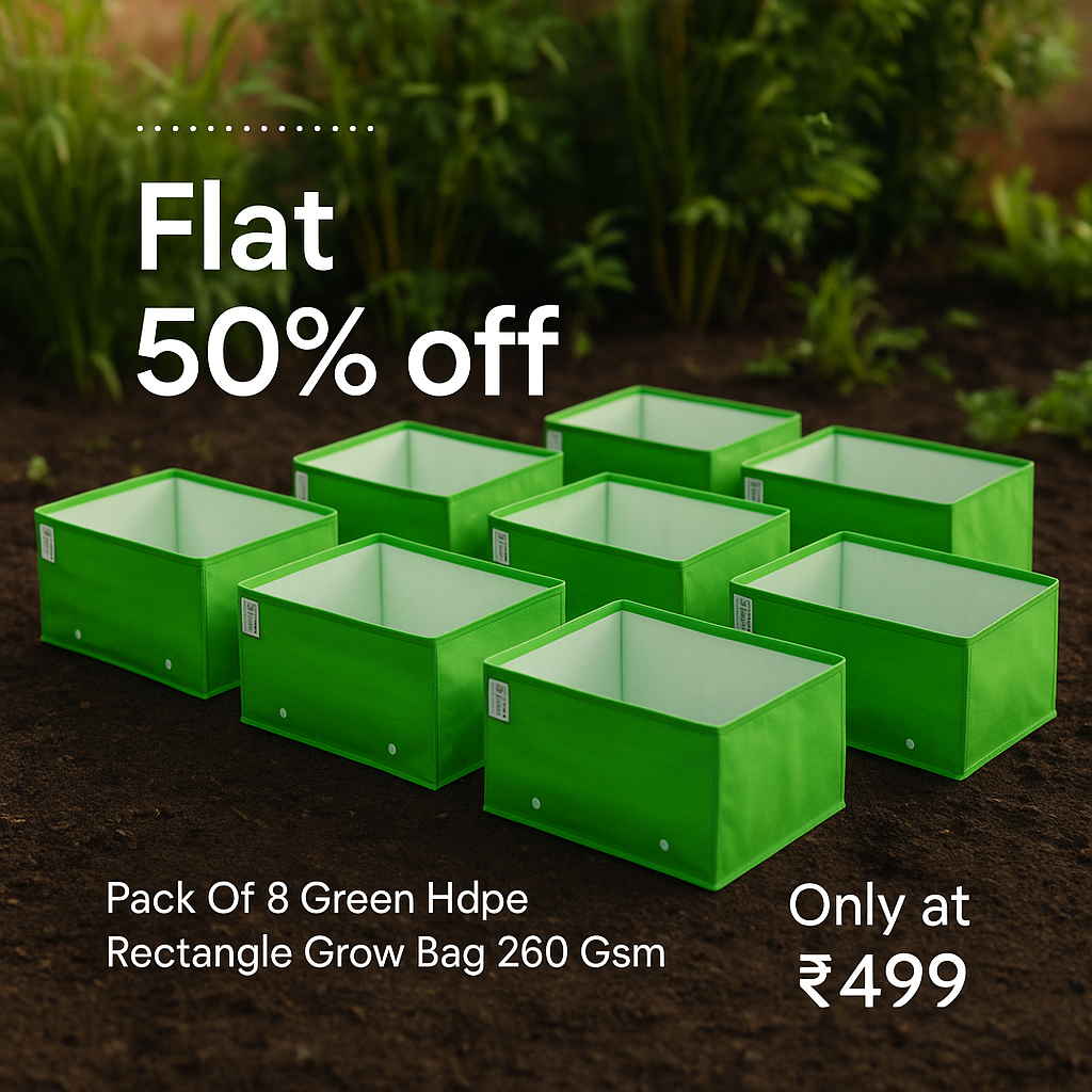 Anandi Green's Facebook ad