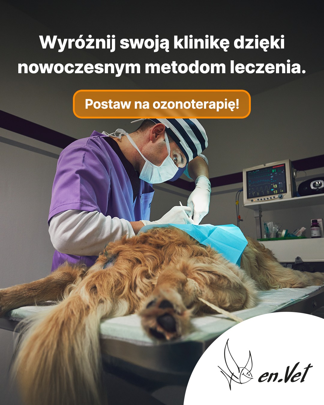 en.Vet Facebook ad: Nowy rok to idealny moment na wprowadzenie do…