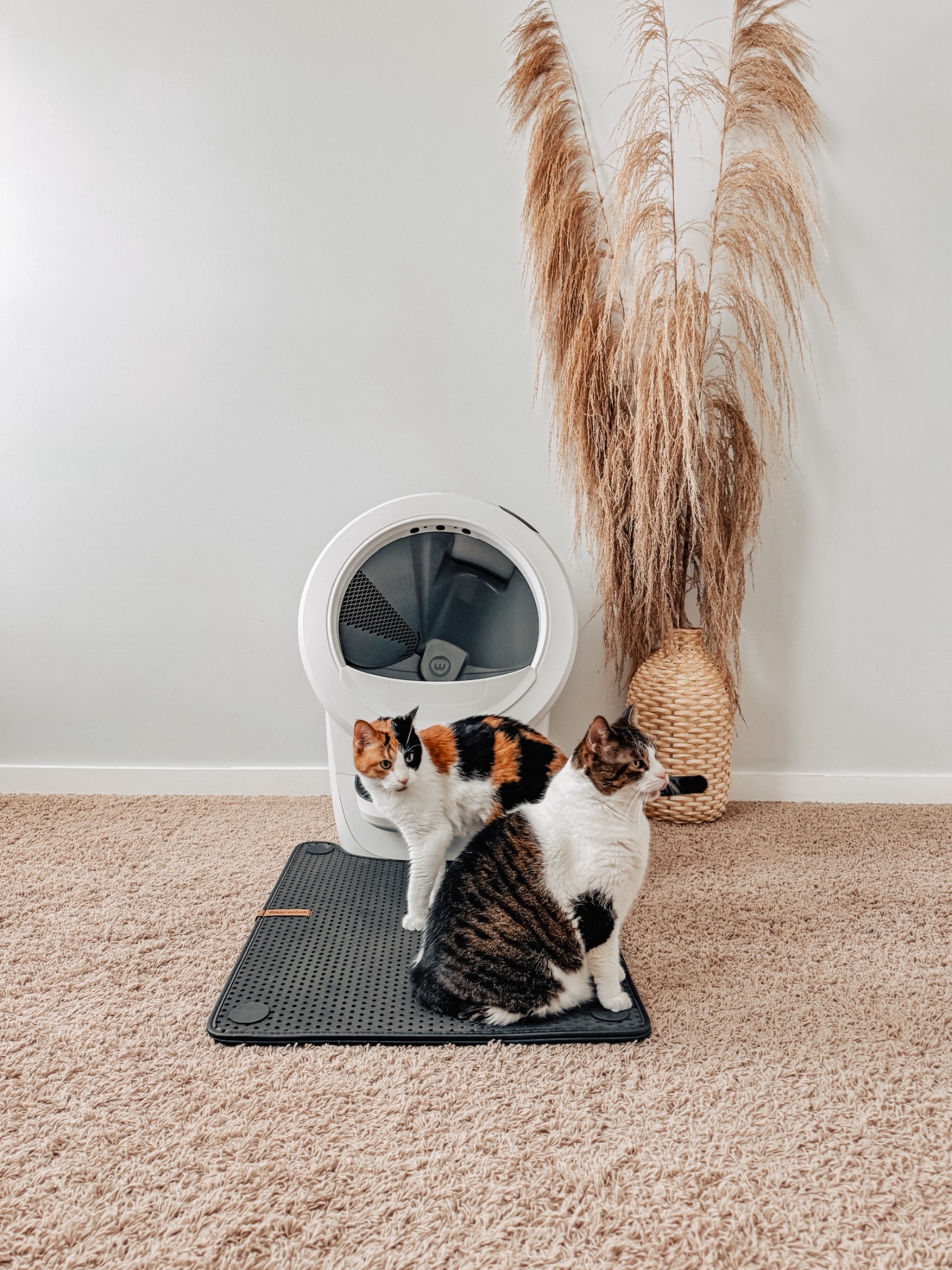 Litter-Robot by Whisker Facebook ad
