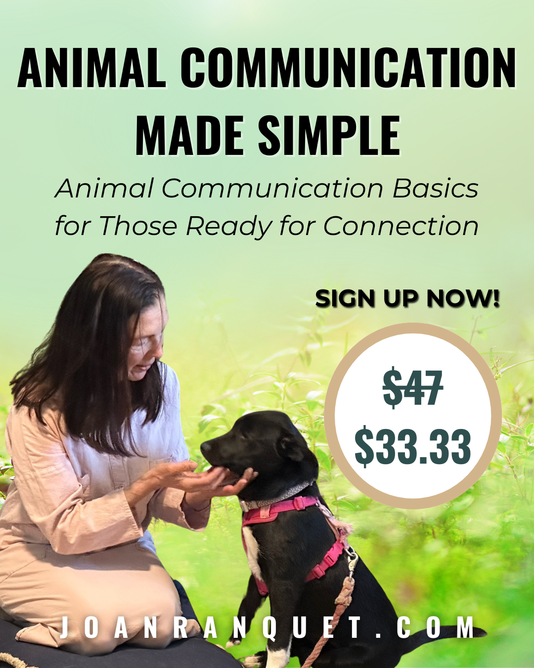 Joan Ranquet's Communication With All Life University Facebook ad