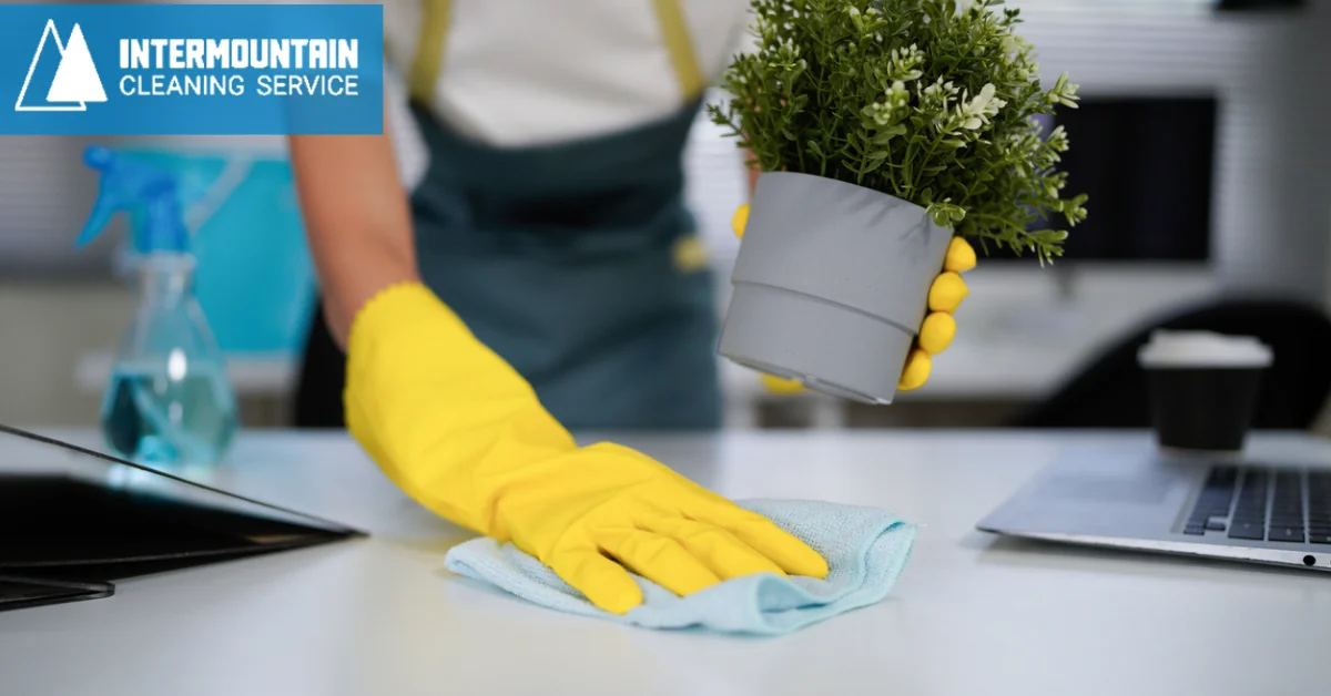 Intermountain Cleaning Service Facebook ad