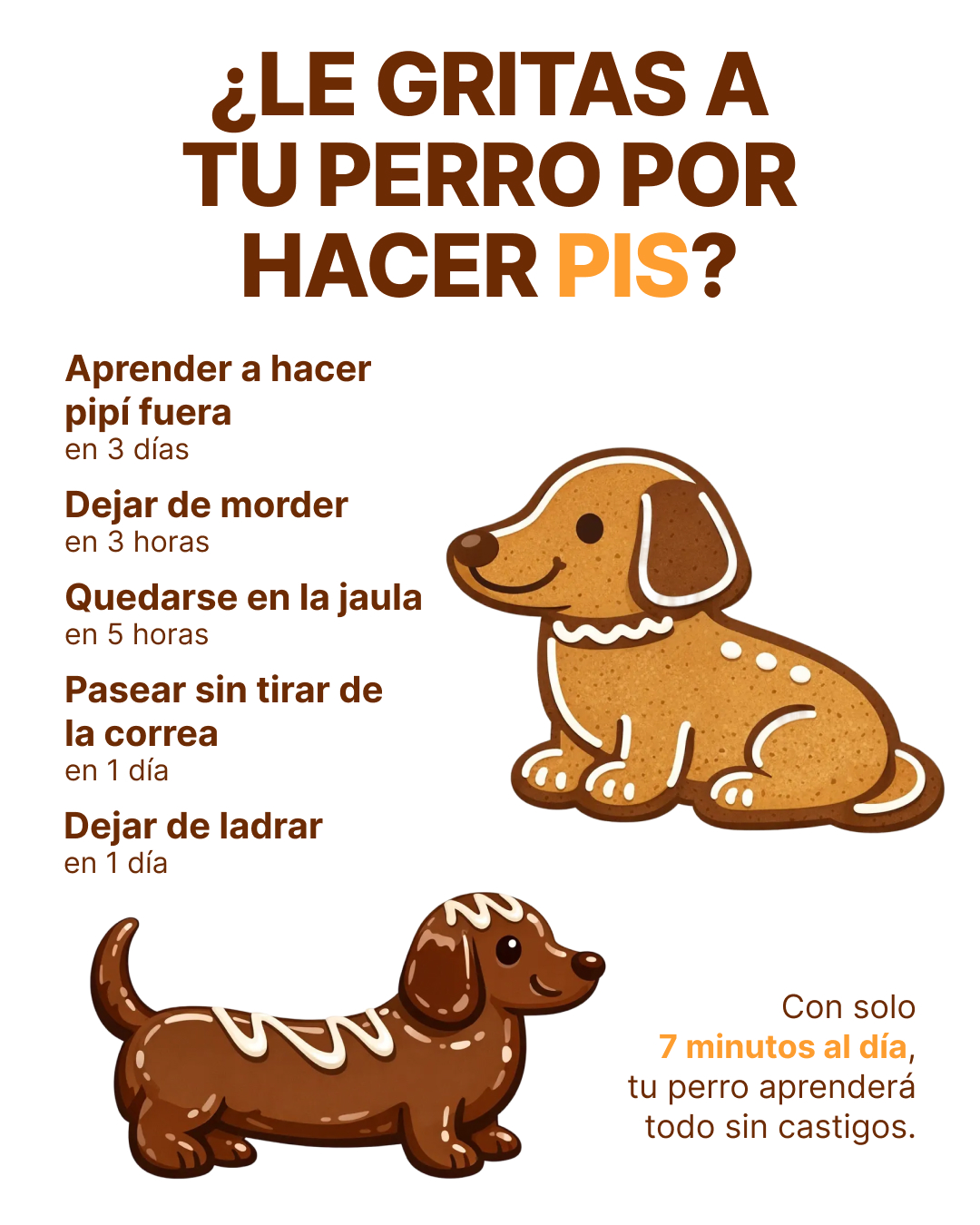 Ben Your Puppy Trainer Facebook ad
