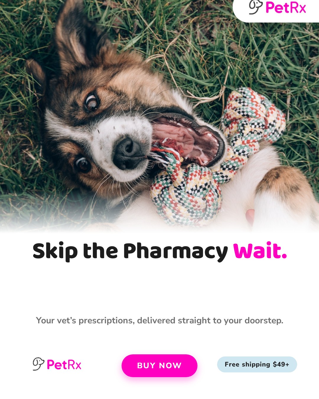 PetRx.com Facebook ad
