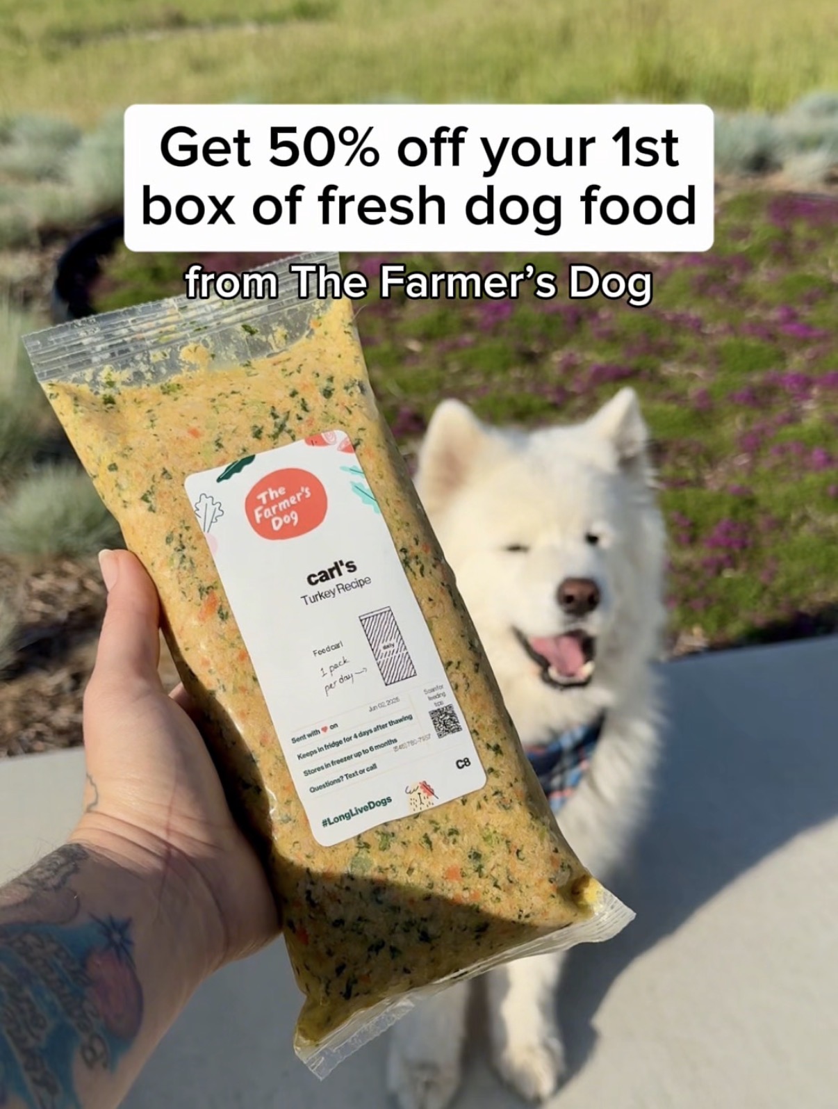 Carl The Sammy Facebook ad