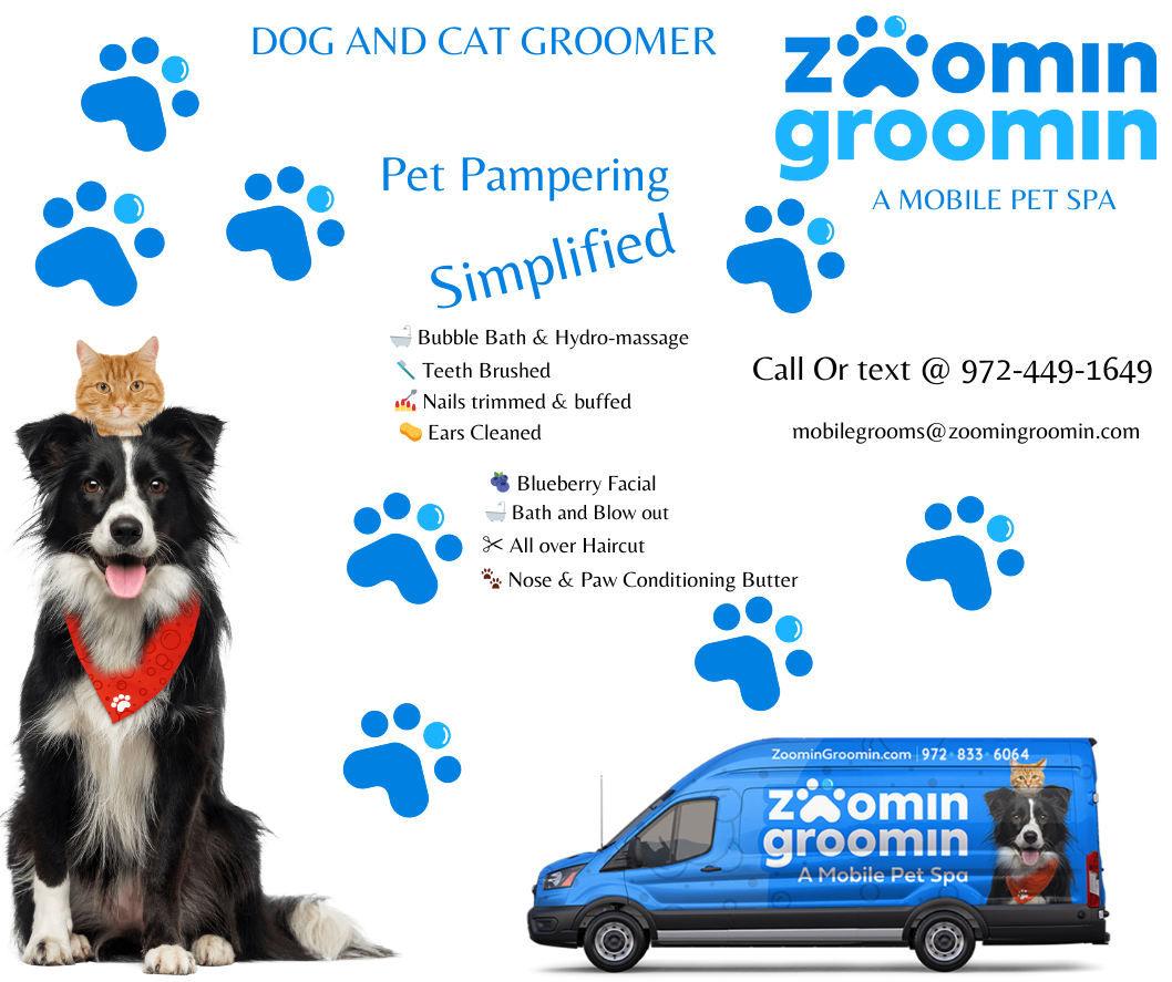 Zoomin Groomin - Garland, TX Facebook ad
