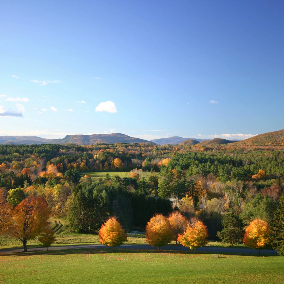 Kripalu Center for Yoga & Health Facebook ad: Come Alive Again
