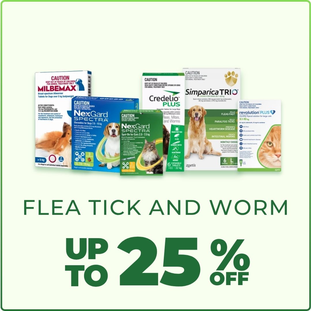 Budget Pet Products Facebook ad