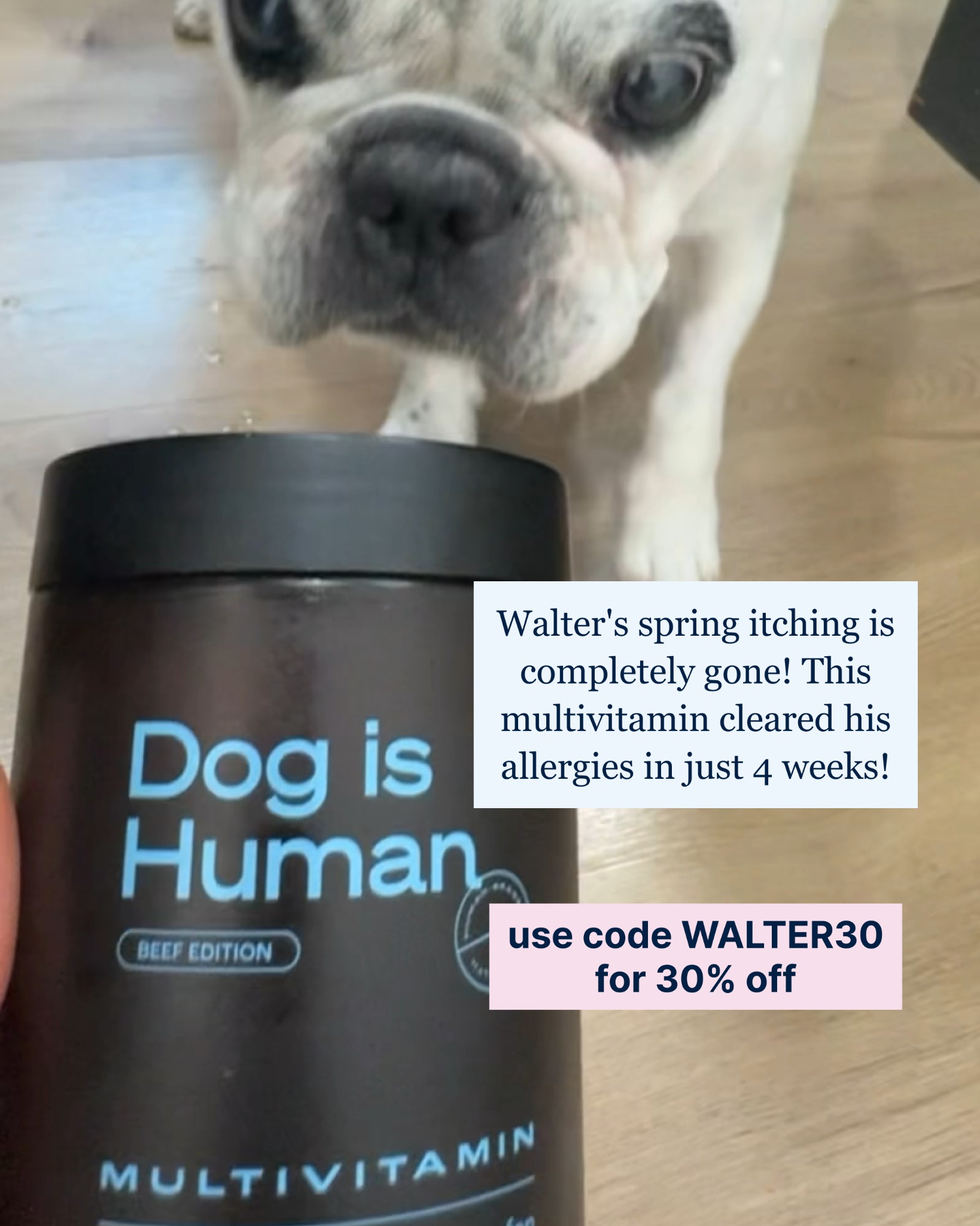 Dog is Human Facebook ad