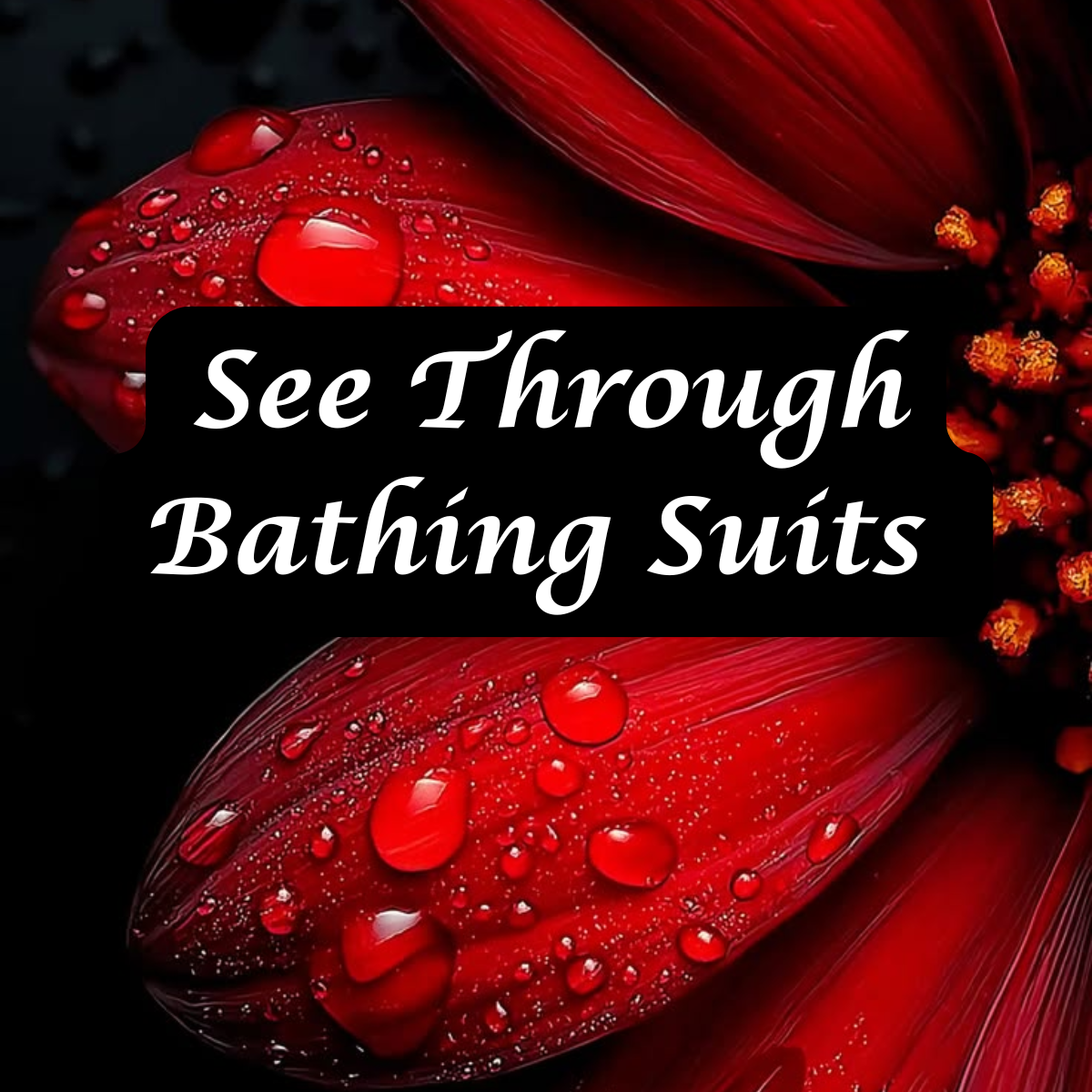 The Curiosity Club Facebook ad: See Through Bathing Suits Style And Fashion Guide
