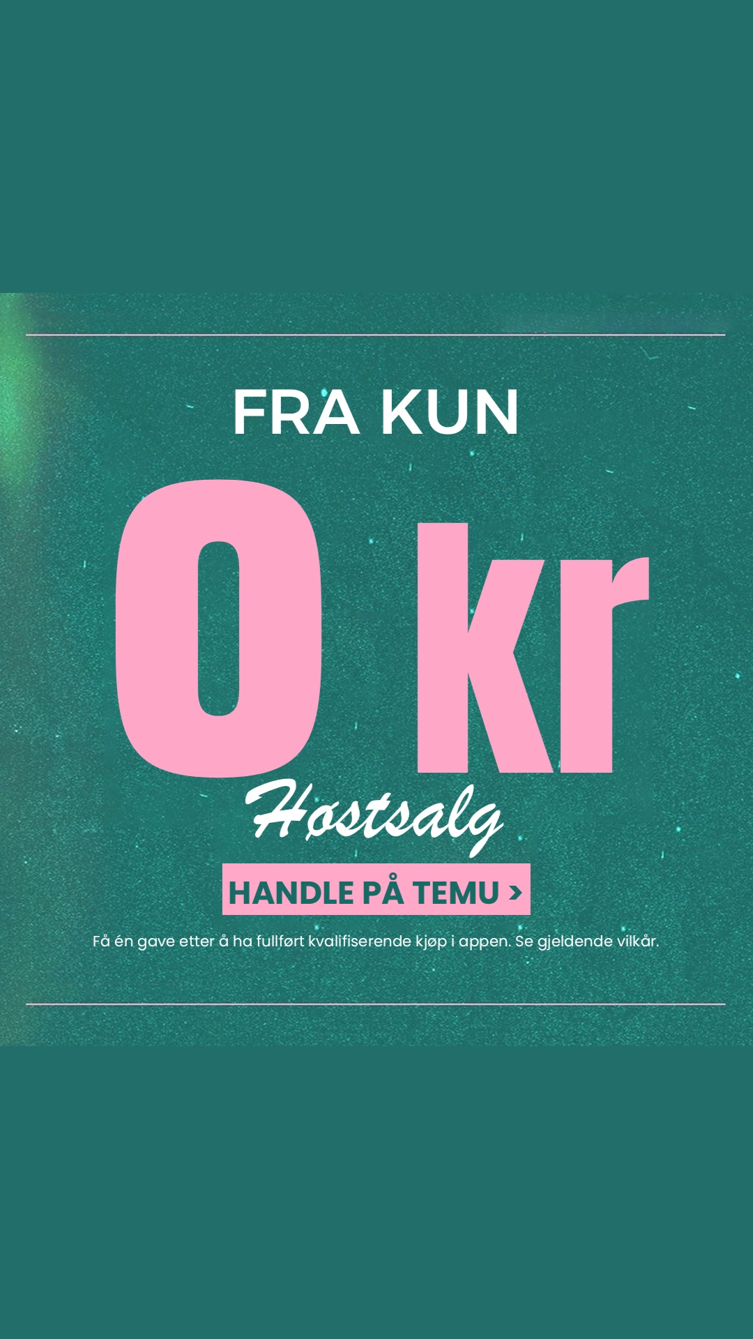 Temu Norway Facebook ad