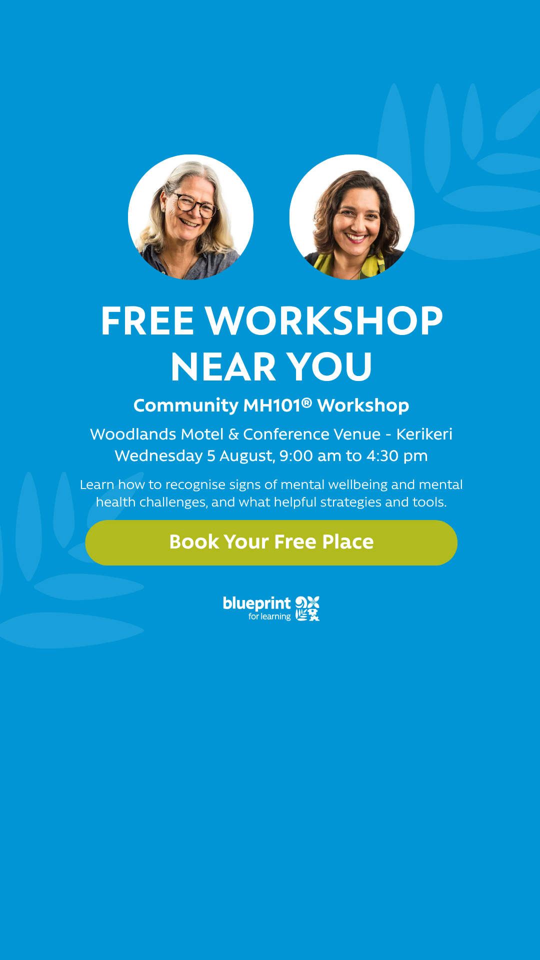 Blueprint for Learning Facebook ad
