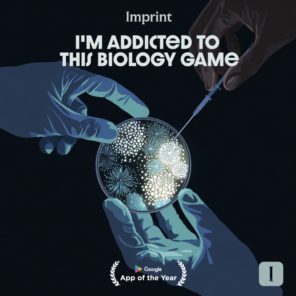 Imprint: Learn Visually Facebook ad